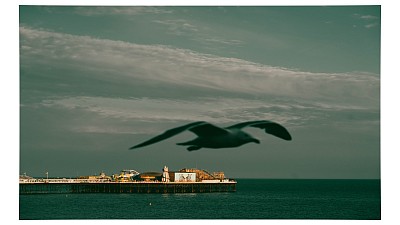 Brighton palace pier